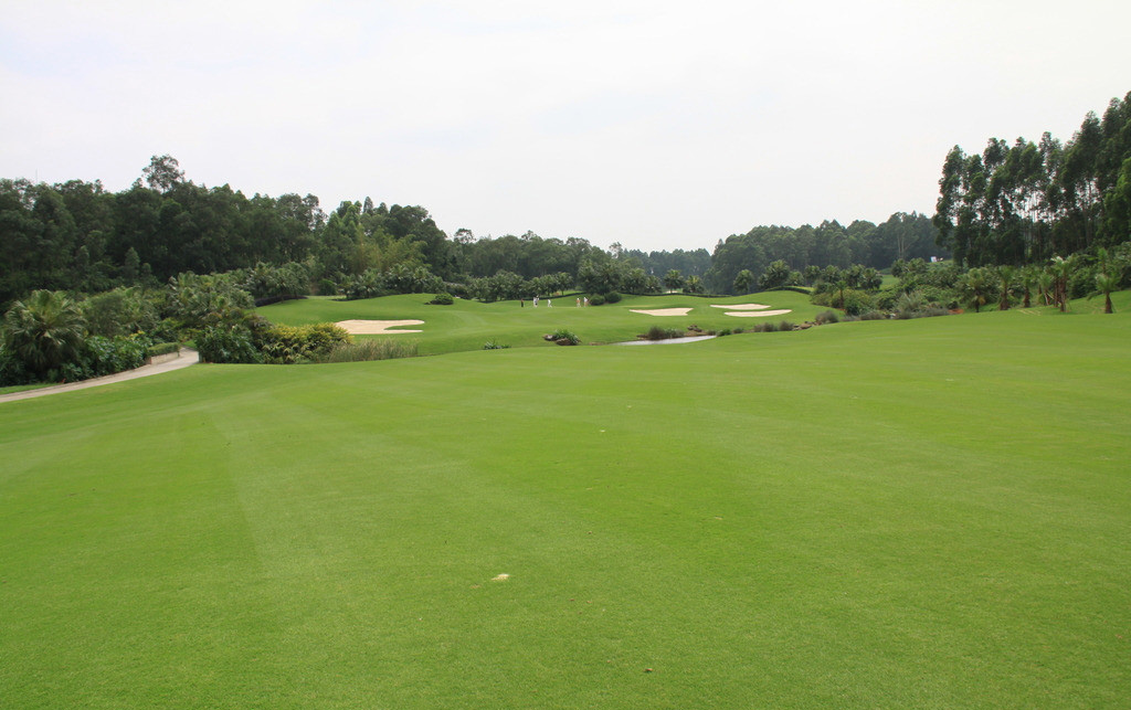 高尔夫球场景观设计 ——景观设计与体育项目的结合